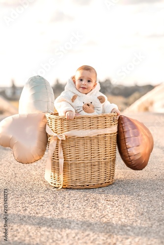 baby in a basket