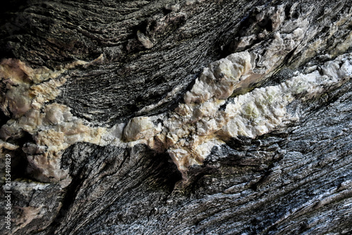 Cuadro en lienzo Quartz vein running through dark metamorphic rock in Viamala, Switzerland
