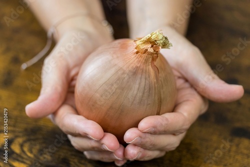 Mains présentant oignon jaune entier