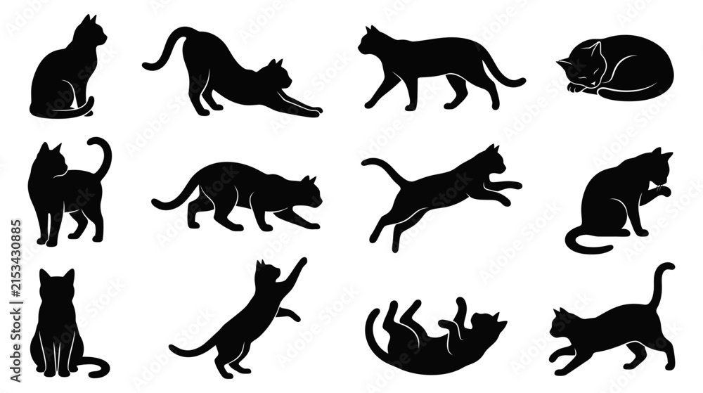 Obraz premium Black cat silhouettes in various poses and movements on white background vector graphic illustration
