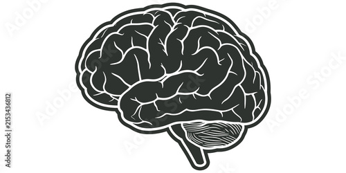 Konstfotografi Human brain side view diagram for neurology and cognitive research