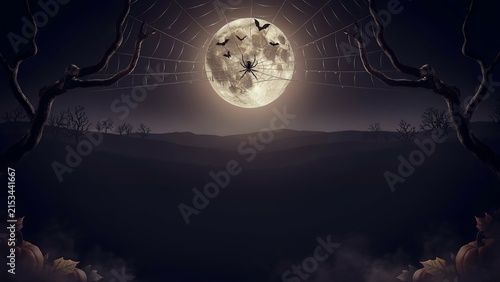 Halloween background, with a large, full moon, spider, web, spider, flying, bats, bare trees, and pumpkins in, the dark foggy landscape