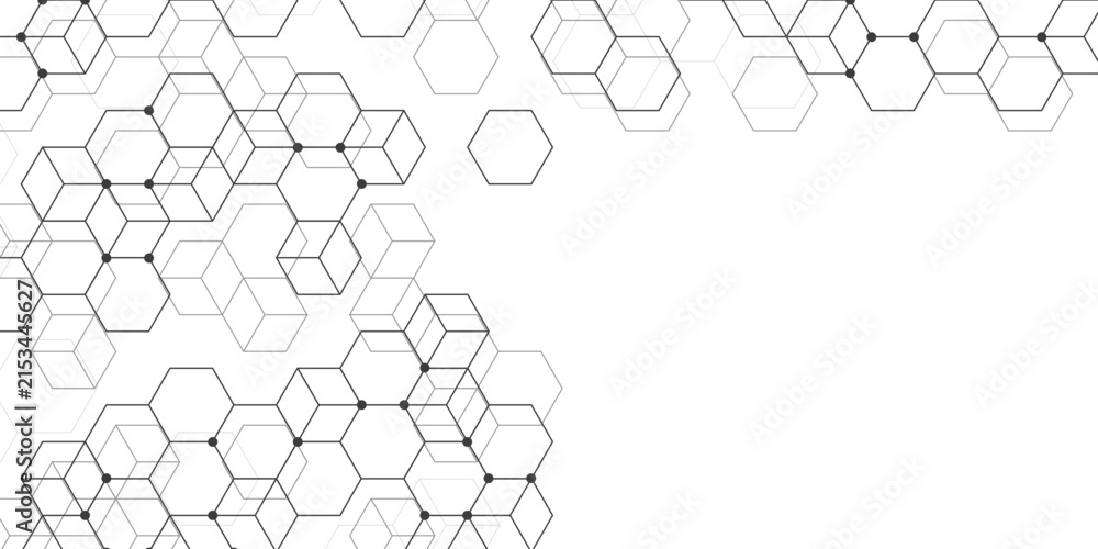 Fototapeta premium Premium textured white and grey hexagon background. Abstract geometric honeycomb pattern with fine hexagonal cells. Premium abstract design for social media, template and flyer.