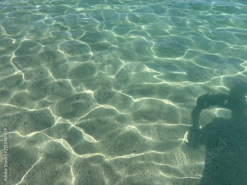 Maiorca