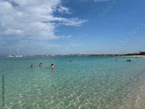 Maiorca