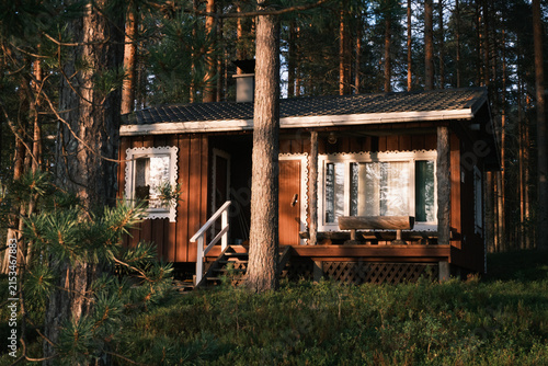 View of a traditional wooden cabin nestled in a dense pine forest in Finland.