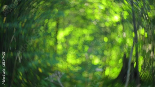 Abstract green forest portal with dreamy bokeh