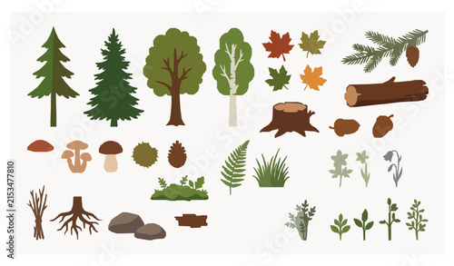 Isolated Forest Objects Set with Woodland Trees Mushrooms and Botanical Elements Vector
