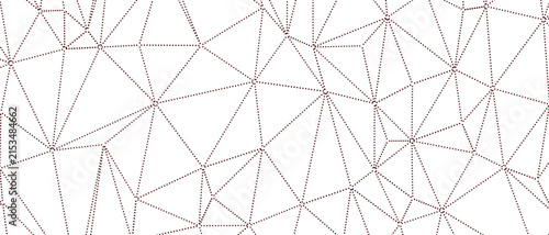 Intricate abstract geometric pattern formed by dotted lines connecting nodes, symbolizing connection