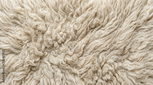 Close-up view of soft, curly, beige woolly fleece highlighting textured natural fibers