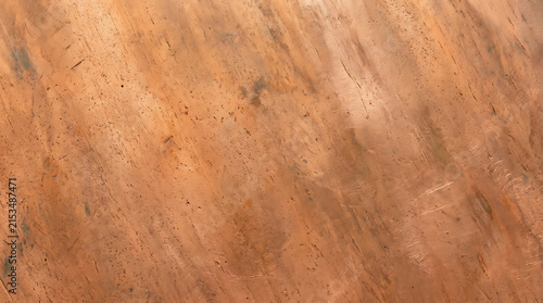 Close-up of a textured, earthy-toned surface resembling aged wood or stone with warm hues and intricate natural details
