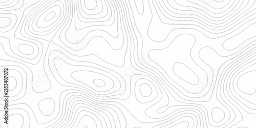 Topographic map background geographic line map with seamless ornament design. The black on white contours topography stylized height of the lines map.
