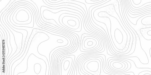 Canvastavla Topographic map background geographic line map with seamless ornament design