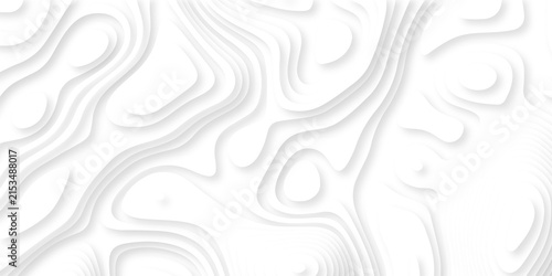 Contour map white line terrain curves white paper cut layers design. Topographic map background geographic line map. White wave paper curved reliefs landscape. 