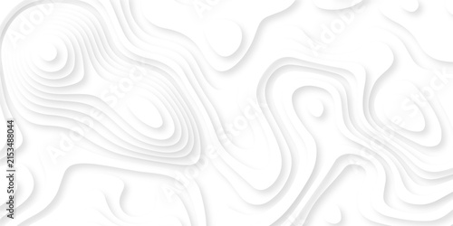 Contour map white line terrain curves white paper cut layers design. Topographic map background geographic line map. White wave paper curved reliefs landscape. 