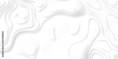 Contour map white line terrain curves white paper cut layers design. Topographic map background geographic line map. White wave paper curved reliefs landscape. 