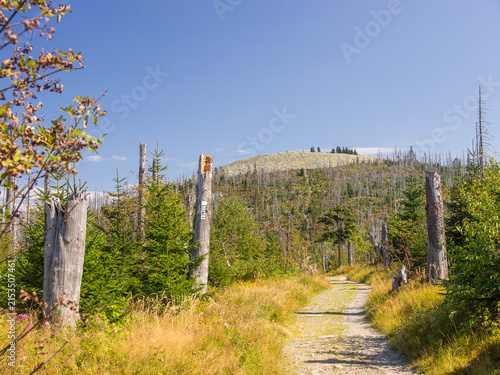 Fotografía Lusen im Bayerischen Wald