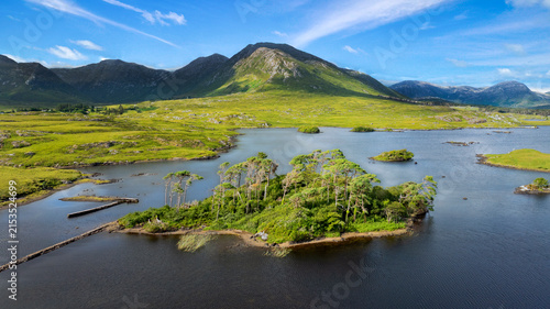Fotografía Pine Island, Connemara National Park, Ireland
