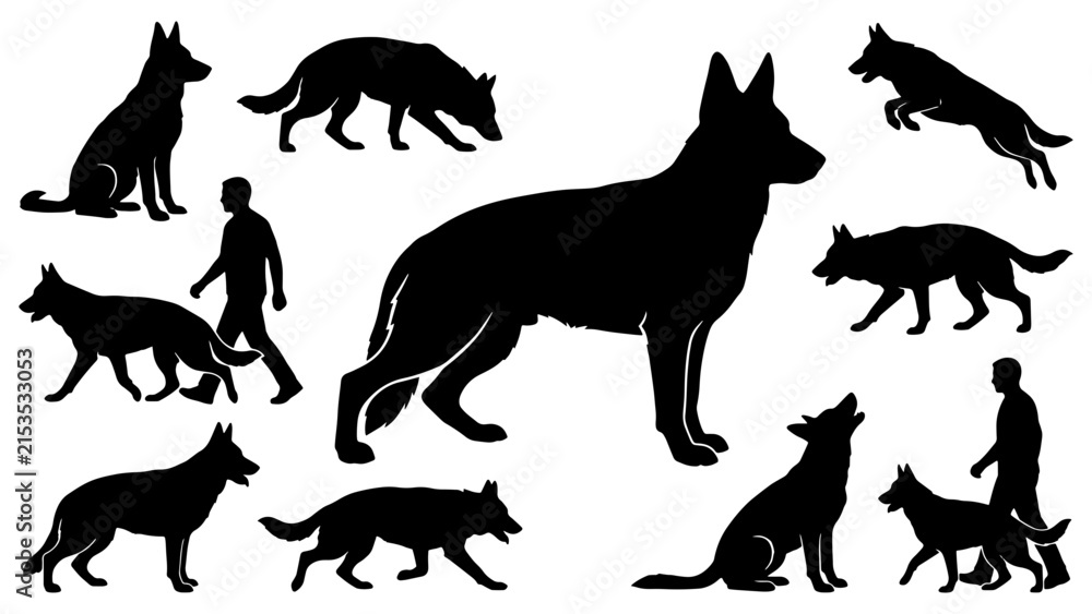 Obraz premium German Shepherd Working Dog Silhouette Bundle featuring 10 powerful K9, police dog, tracking, guarding, running and working poses in clean black vector style. Ideal for pet graphics, K9-themed designs