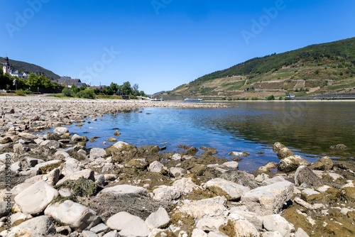 August 2026, Extremes Niedrigwasser am Mittelrhein***Der Rhein bei Trechtingshausen
