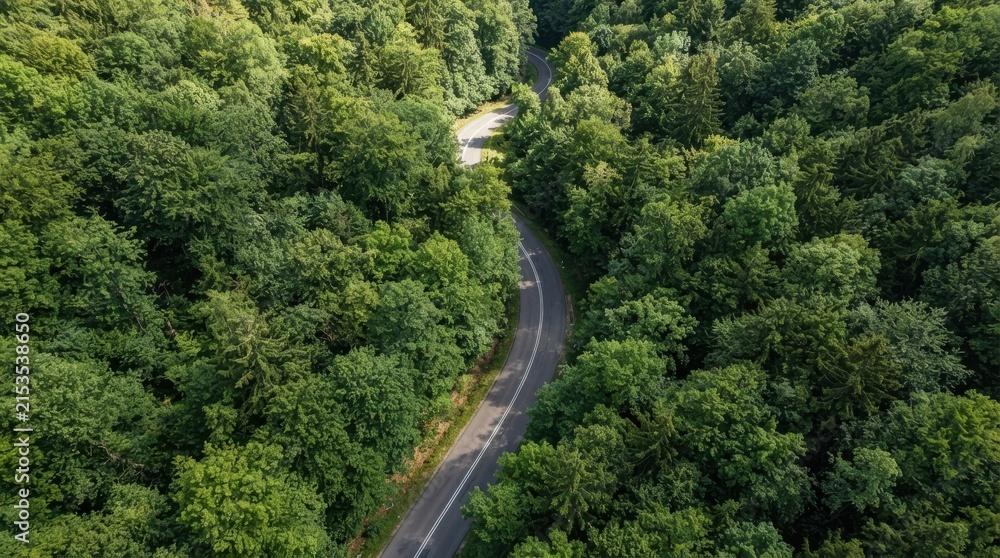 Fototapeta premium Aerial view of winding forest road