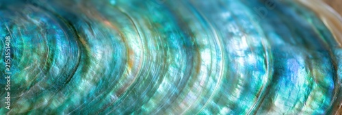 Abalone shell macro texture with iridescent teal blue green gold pearlescent bands and concentric ridges under soft studio light for decorative background design.