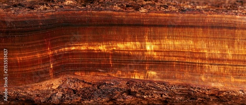 Tiger eye quartz texture with golden brown banding and chatoyant mineral lines in a close up rock surface backdrop.