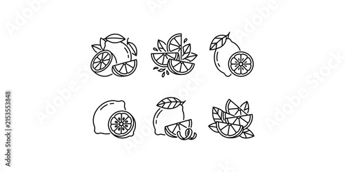Cuadro en lienzo Collection of fresh lemon fruit icons featuring sliced citrus segments whole fruits with green leaves and zest spirals for culinary