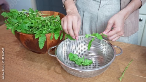 Woman preparing fresh basil leaves in wooden bowl and metal colander on kitchen table