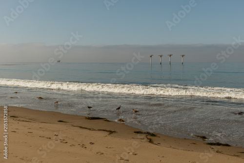 Scenic vista of old piling relics off the Pacific coast in Goleta, Santa Barbara County, Southern California 