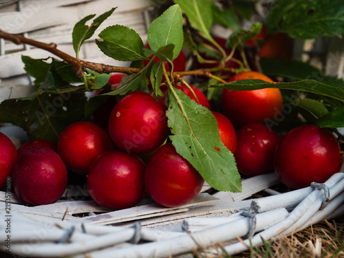 Ripe red cherries fruit in a basket