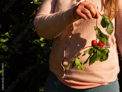 Foto Woman holding ripe red cherries fruit in a basket