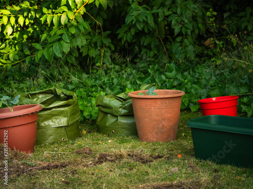 Green grow bag and plant pots