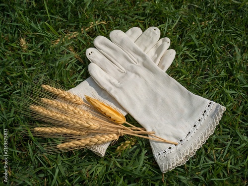 Vintage white gloves with wheat on green grass