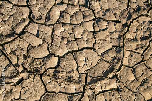 Fotografie Close-up of severely parched, dry soil covered in a dense network of polygonal cracks caused by intense evaporation and prolonged lack of moisture