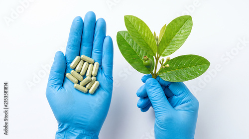 Gloved hands holding herbal capsules and green plant leaf, representing natural supplement medicine
