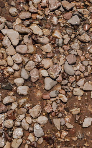 Canvas Print Vertical full frame top view of colorful wet river pebbles gravel stones covered