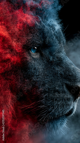 Close up blue eyes of the black lion with red fire effect is fore ground , epic lion , action cinematic.