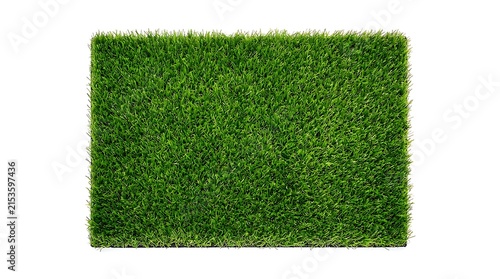 Green Artificial Grass Rectangular Patch Top View Isolated On White