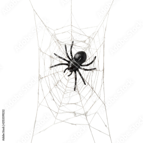 Creepy black spider on realistic spider web net