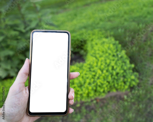 A phone with a blank screen in the hands of a middle-aged Slavic woman in a park in the summer against the backdrop of a green flowerbed and grass. Space for text