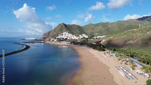 palms at highly popular beach las Teresitas, Tenerife, Spain