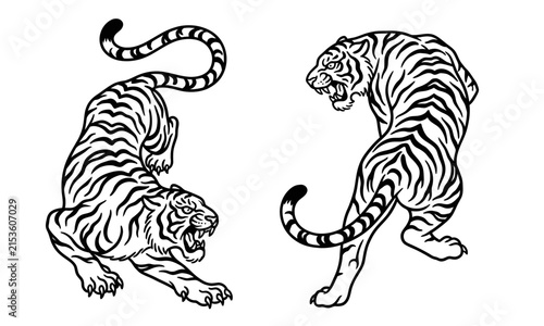 Two aggressive tigers in traditional japanese tattoo style illustration