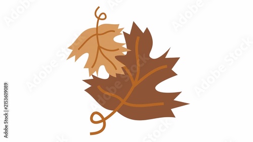 Autumn maple leaves cartoon animation with curly vine stems isolated on an alpha channel for fall foliage icon and Thanksgiving decoration symbol.