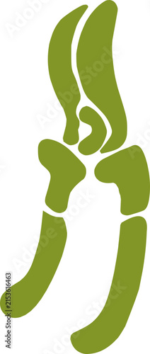Small plant sprout with roots illustration isolated