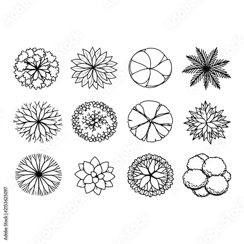 CAD Trees Top View Set – Landscape Design and Architectural Elements vector
