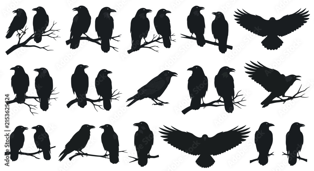 Obraz premium Black crow silhouette collection, raven bird vector set, flying and perched crows on branches, dark gothic wildlife icons