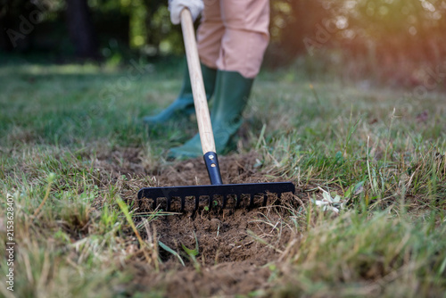 Foto Close-up of person doing garden maintenance and planting – gardening work concept