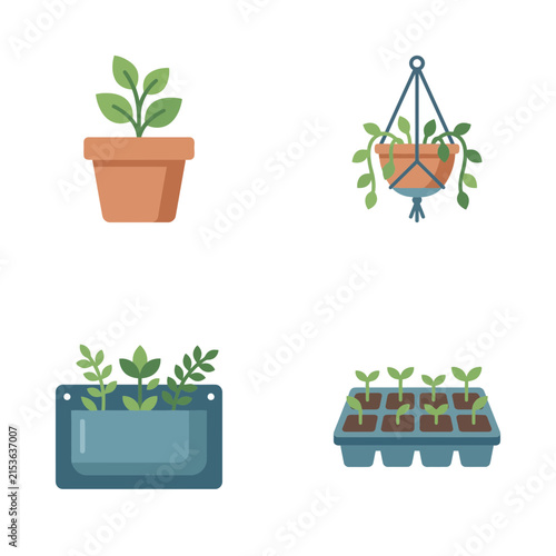 Potted plants collection showing houseplant in clay pot, hanging planter, wall planter, and seedlings.