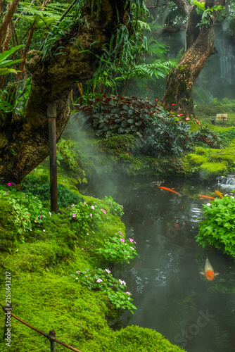 Tranquil river scene with mossy rocks and morning mist in forest,dreamlike atmosphere in the woods,waterfall in nature rainforest concept.